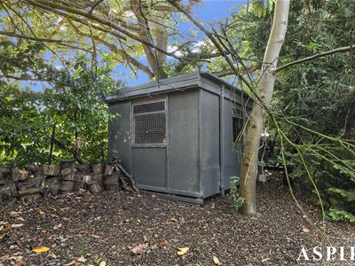Picture 42